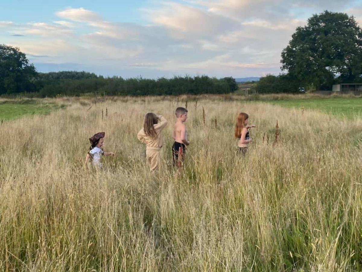 Arcadia Safari Tent In Private 5 Acre Field Ρέξαμ Εξωτερικό φωτογραφία