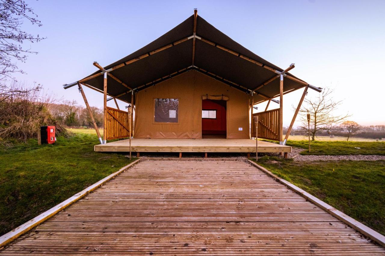 Arcadia Safari Tent In Private 5 Acre Field Ρέξαμ Εξωτερικό φωτογραφία